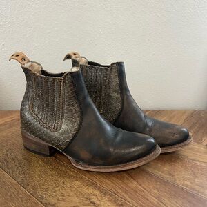 Freebird by Steven salamanca